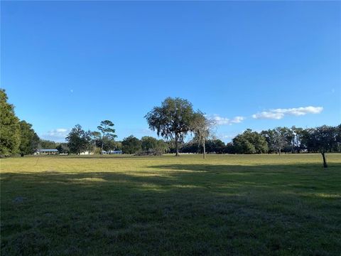 Tiny photo for 10312 County Road 209, Oxford, FL 34484 (MLS # P4923941)