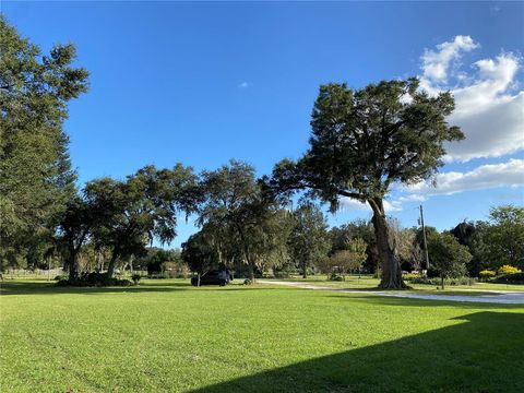 Tiny photo for 10312 County Road 209, Oxford, FL 34484 (MLS # P4923941)