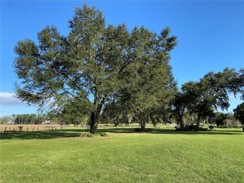 Tiny photo for 10312 County Road 209, Oxford, FL 34484 (MLS # P4923941)