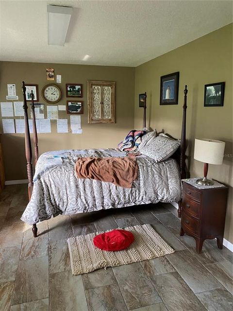 Tiny photo for 10312 County Road 209, Oxford, FL 34484 (MLS # P4923941)