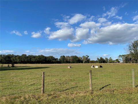 Tiny photo for 10312 County Road 209, Oxford, FL 34484 (MLS # P4923941)