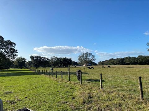 Tiny photo for 10312 County Road 209, Oxford, FL 34484 (MLS # P4923941)