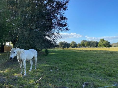 Tiny photo for 10312 County Road 209, Oxford, FL 34484 (MLS # P4923941)