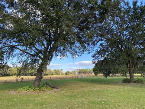 Tiny photo for 10312 County Road 209, Oxford, FL 34484 (MLS # P4923941)