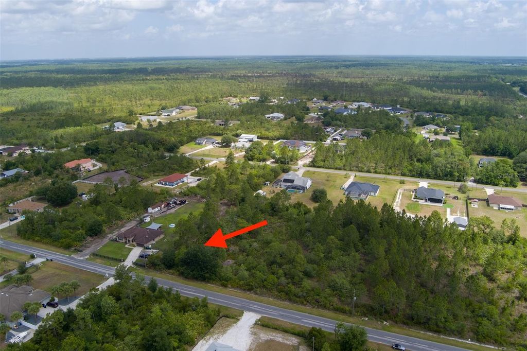 Photo of Nettleton Street, Orlando, FL 32833 (MLS # O6411462)