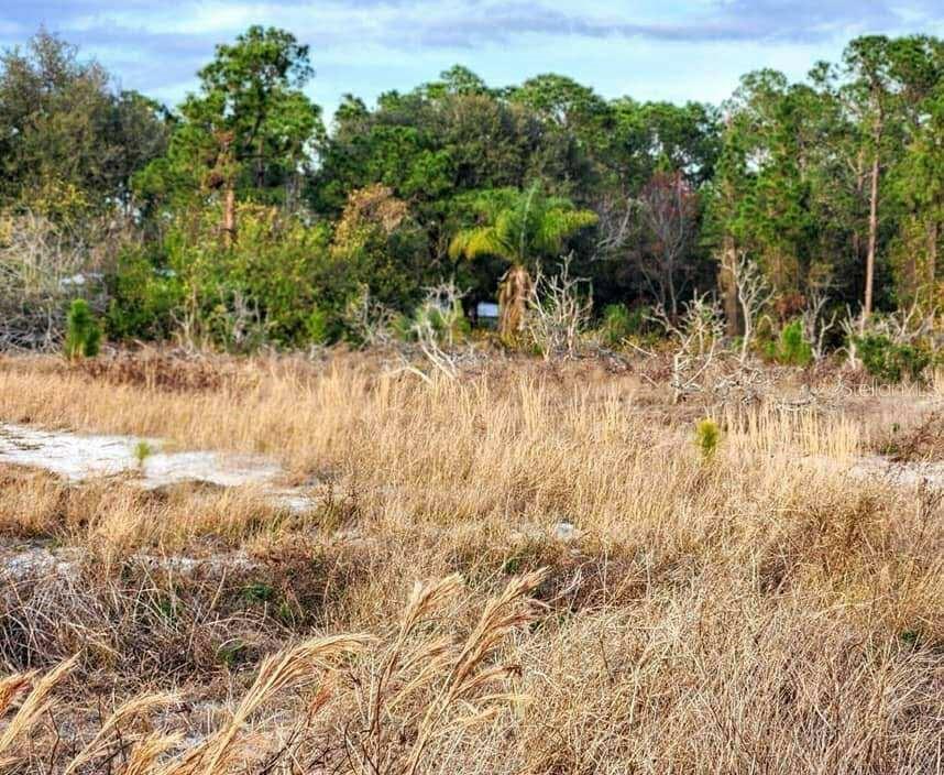 40K PRICE REDUCTION. SELLER MOTIVATED. Build your dream home on this spacious 9.70-acre lot in the peaceful Oakridge Estates community! Located in Frostproof and zoned for residential use, this high-and-dry parcel offers flexibility with no HOA. Surrounded by open countryside yet just minutes from town, the property has electric nearby; well and septic are needed. Ideal for those seeking privacy, space, or future growth potential. Adjoining parcels are also available, offering the opportunity to acquire nearly 50 contiguous acres—purchase individually or as a package.