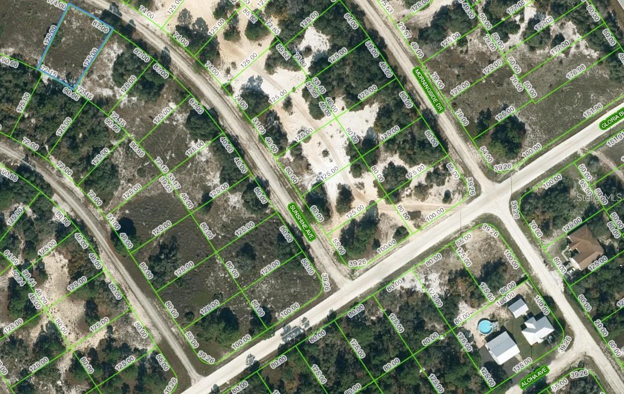 This lot in Lake Placid is in a fantastic area, just a short 10-minute drive away from Lake Grassy and approximately within a 20-minute drive to Lake Placid. This proximity to both lakes makes it an ideal location for those who enjoy recreational activities like fishing and boating. You'll have easy access to the lake, allowing you to spend quality time on the water and indulge in your favorite water-based hobbies. For car enthusiasts, the lot's proximity to the Sebring International Raceway is a dream come true. You'll be able to enjoy thrilling races and events just a short distance away from your property. Whether you're a motorsport fan or a participant, living so close to a renowned racetrack adds an exciting element to your lifestyle. Additionally, the lot offers the convenience of having shopping and dining options nearby. You'll have access to a range of stores, boutiques, and restaurants, ensuring that your everyday needs are met without having to travel long distances. Overall, this lot in Lake Placid provides a unique combination of recreational opportunities, a favorable growing environment, and proximity to exciting attractions like the Sebring International Raceway. It's an excellent location for anyone looking to enjoy the outdoors, engage in hobbies, and have easy access to amenities. Don't let this deal race on by! Invest or purchase to build your dream home today!
