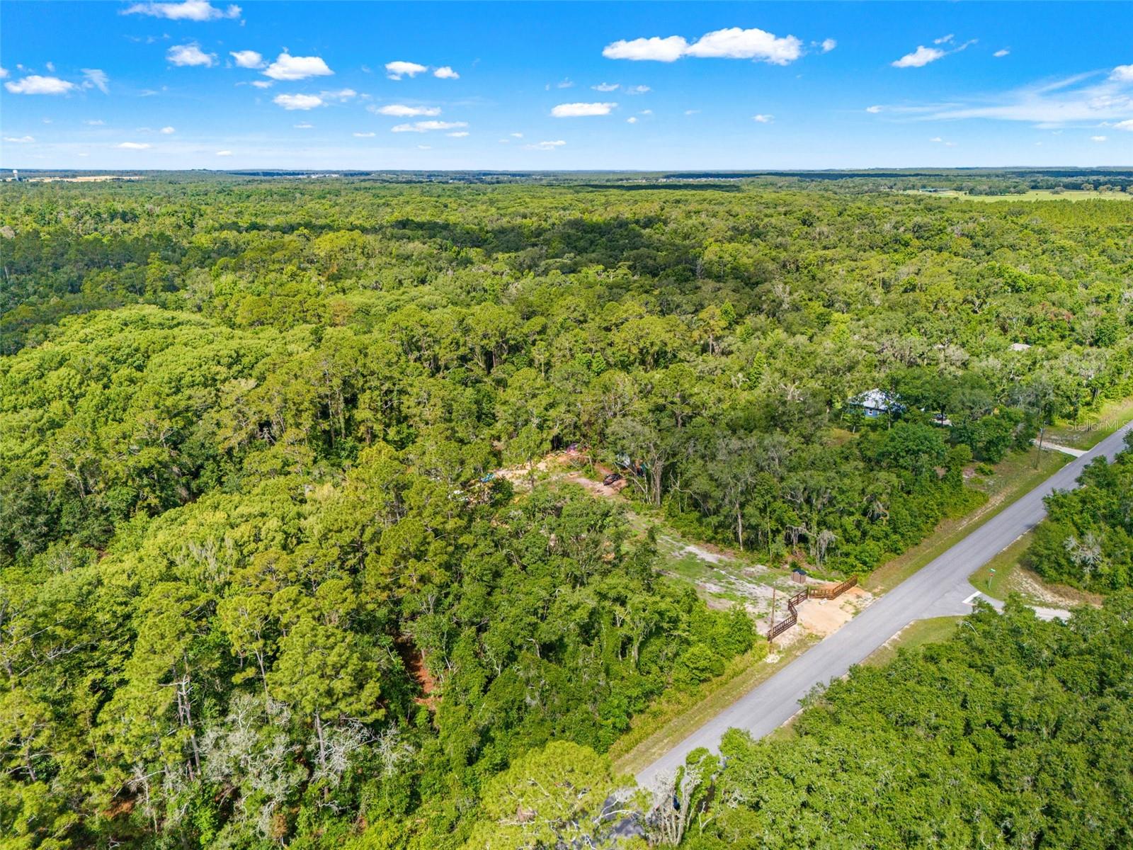 RIDGE MANOR ESTATE - Land