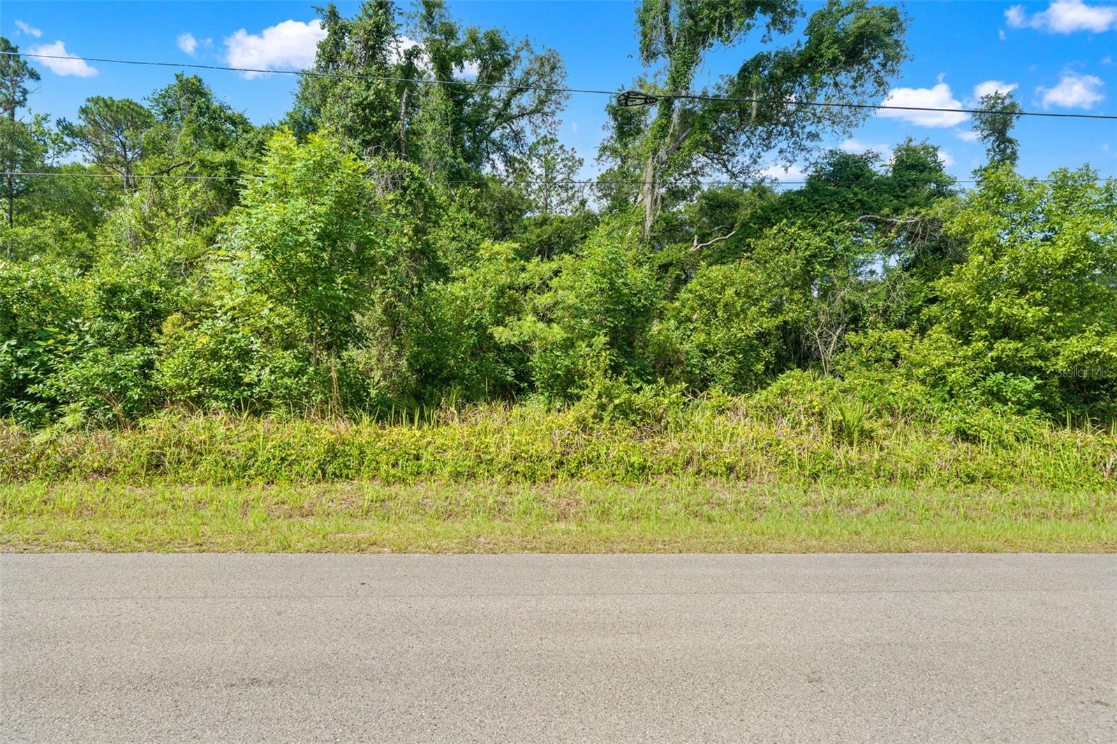 RIDGE MANOR ESTATE - Land