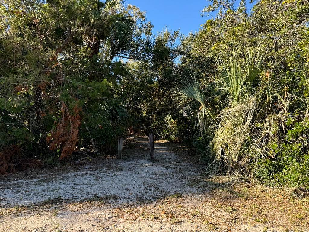 This vacant lot is a great opportunity to build your dream home! Sellers were prepared to build but their plans have changed, so this is your buyer's gain. This lot is already prepped with utility hookups (water, sewer, electric and natural gas), has been prepped and graded with fill dirt, and has an irrigation well in place. Build your custom home in an area with NO HOA, and enjoy access to Indian River Lagoon Park, directly across the street, offering natural trails, fishing opportunities and wildlife. Or, walk one block to the east and you will be at the World's Most Famous Beach! This home is also walking or bike riding distance to several local restaurants, bars, and shops, and just a short stroll to SoNapa Bistro for that glass of wine with dinner. Easy access is also available to Flagler Avenue's shops and bars, as well as bustling Canal Street. Take advantage of one of the only remaining lots left in a desirable area of New Smyrna, and know that no one will be able to build across from you on Saxon Drive. This is a great chance to carve your own niche in beautiful New Smyrna Beach. All information taken from the tax record, and while deemed reliable, cannot be guaranteed.