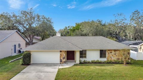 A home in APOPKA