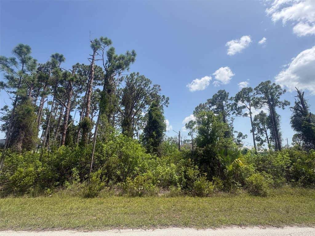 Photo of 14201 Naylor Avenue, Port Charlotte, FL 33981 (MLS # A4701383)