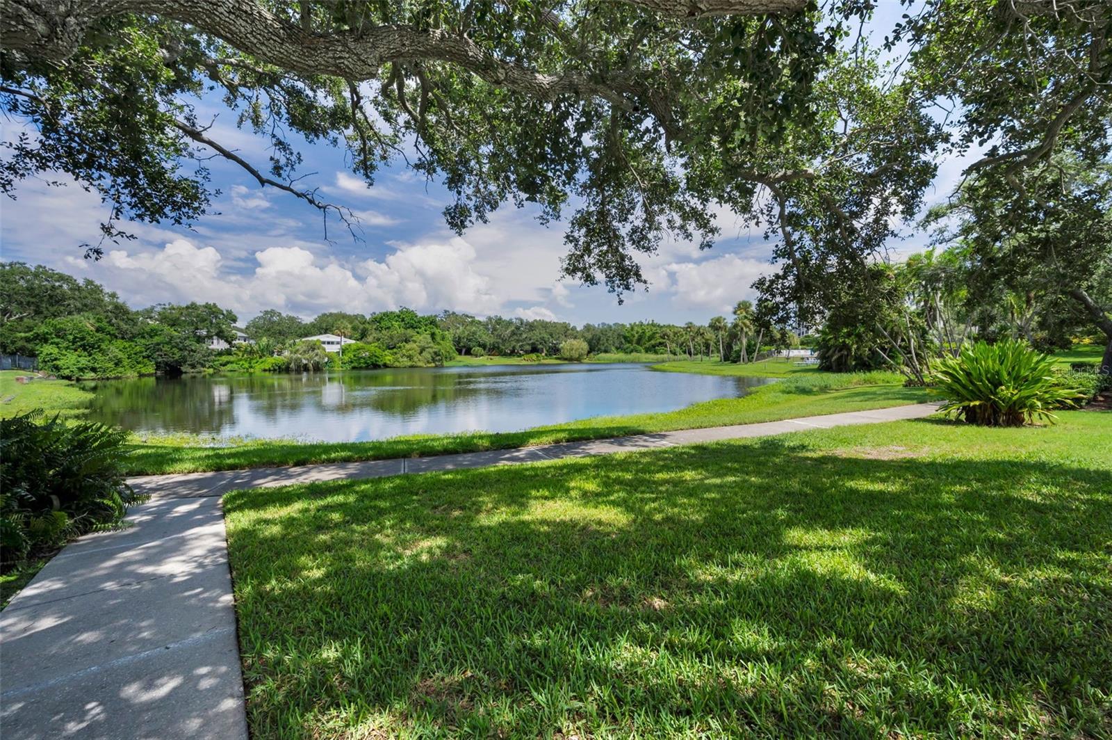 BELLEVIEW BILTMORE VILLAS BAYSHORE I - Residential