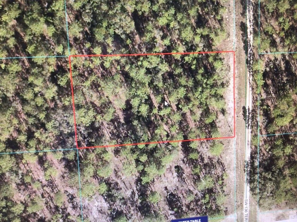 Photo of 0 SW 136 Terrace, Dunnellon, FL 34432 (MLS # OM722110)