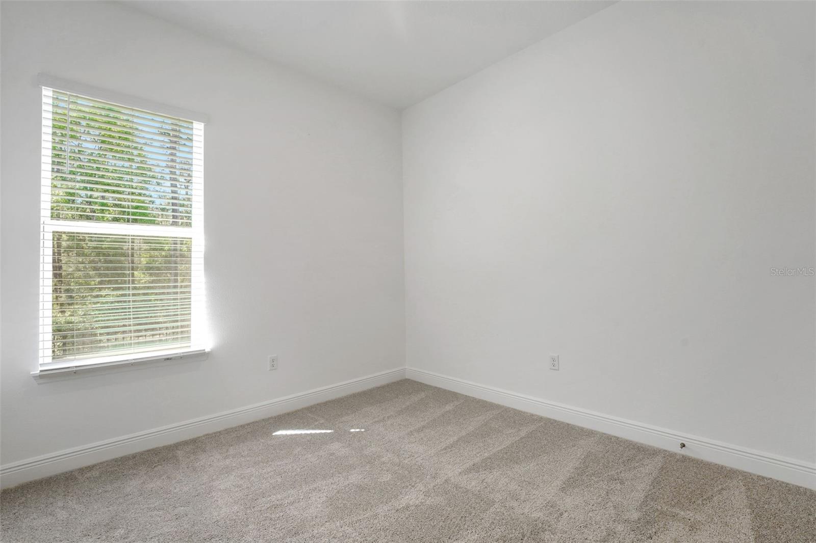 PALMS AT WINDERMERE - Residential