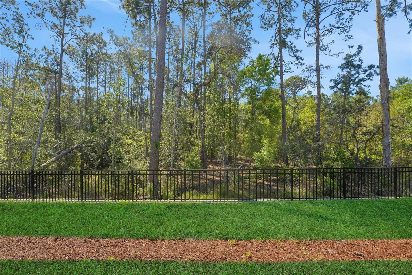 PALMS AT WINDERMERE - Residential