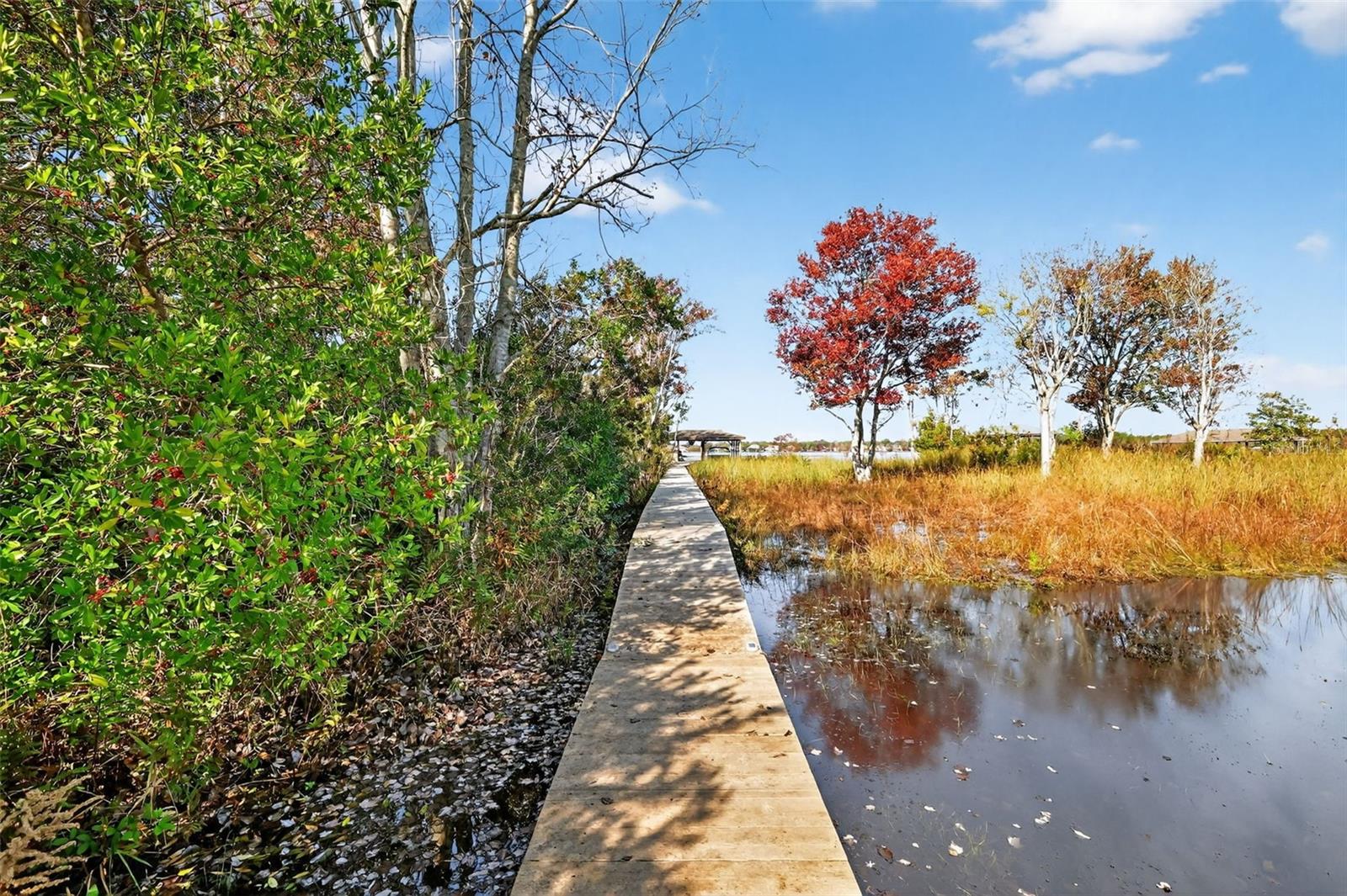 COUNTRY CLUB MOUNT DORA - Residential