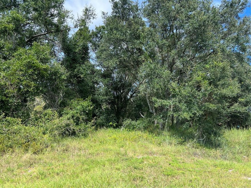 12.5 acres of wooded land with gorgeous oak trees, ideal for building your dream home, creating a private retreat, or simply enjoying nature's beauty