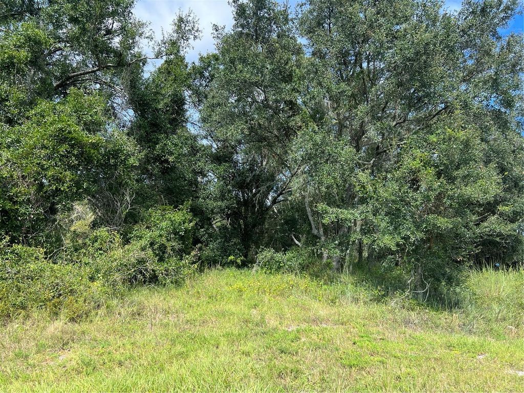 Photo of 5425 NW Oak Hill Avenue, Arcadia, FL 34266 (MLS # A4665571)