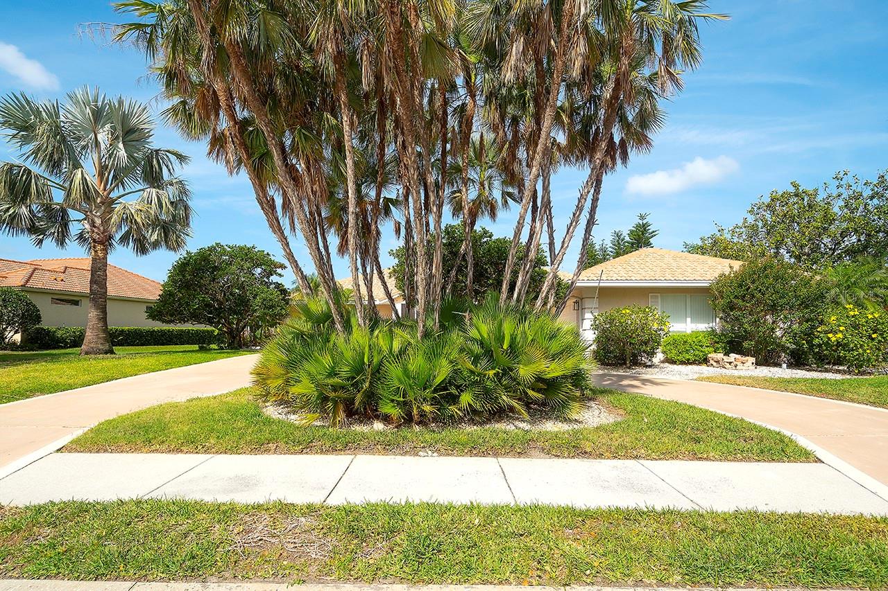 3201 WILDERNESS BOULEVARD W