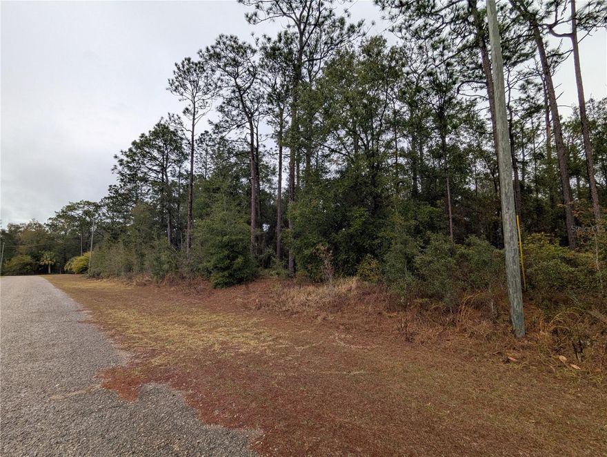 NO HOA! located on a paved road in the Citrus Springs subdivision, this property is ready to build your next home! Just down the road from the Citrus Springs Golf Course and within 30 minutes to the Gulf of Mexico, Crystal River, and Dunnellon.