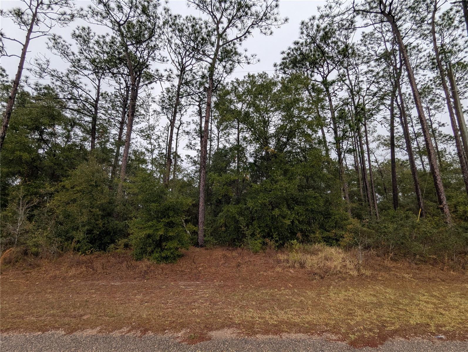 CITRUS SPGS UNIT 04 - Land