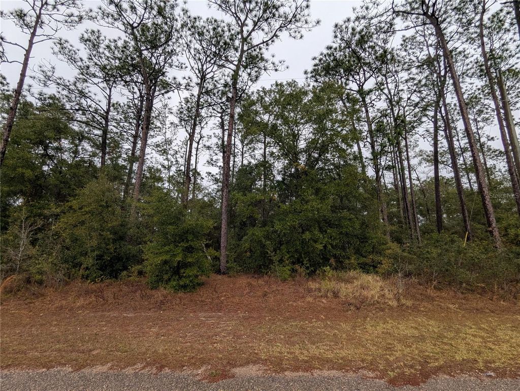 Photo of 2737 W Blink Drive, Citrus Springs, FL 34434 (MLS # OM717054)