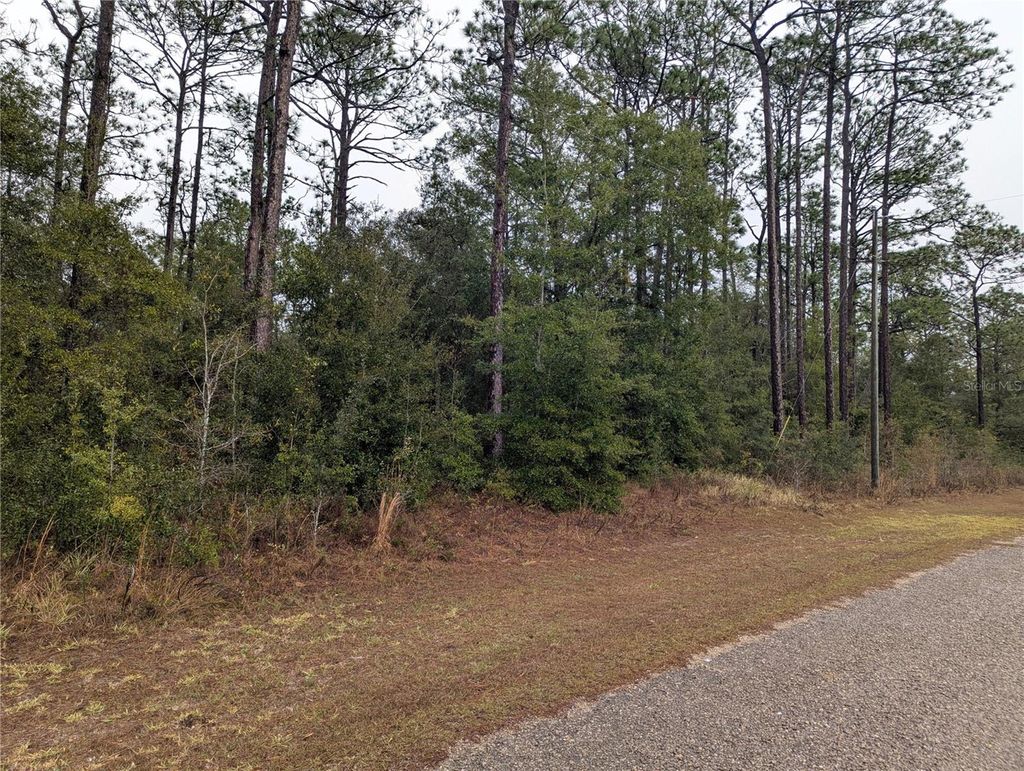 Photo of 2737 W Blink Drive, Citrus Springs, FL 34434 (MLS # OM717054)