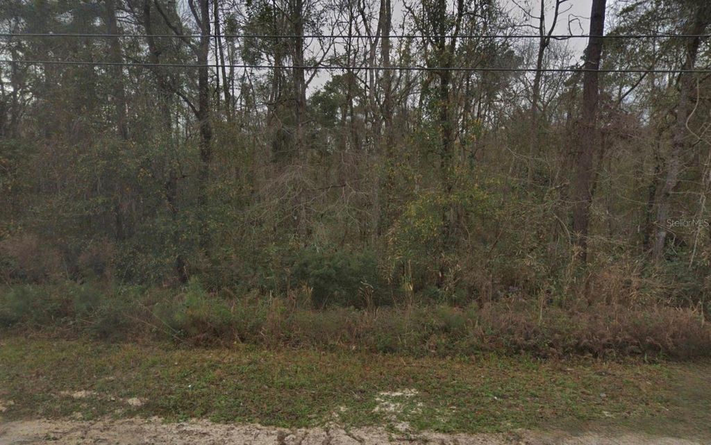 Photo of 4959 Chickpea Street, Middleburg, FL 32068 (MLS # TB8481050)