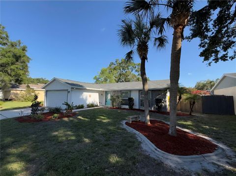 5814 SILVER MOON AVENUE TAMPA FL 33625