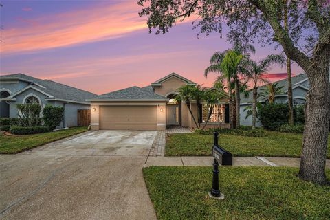 A home in TAMPA