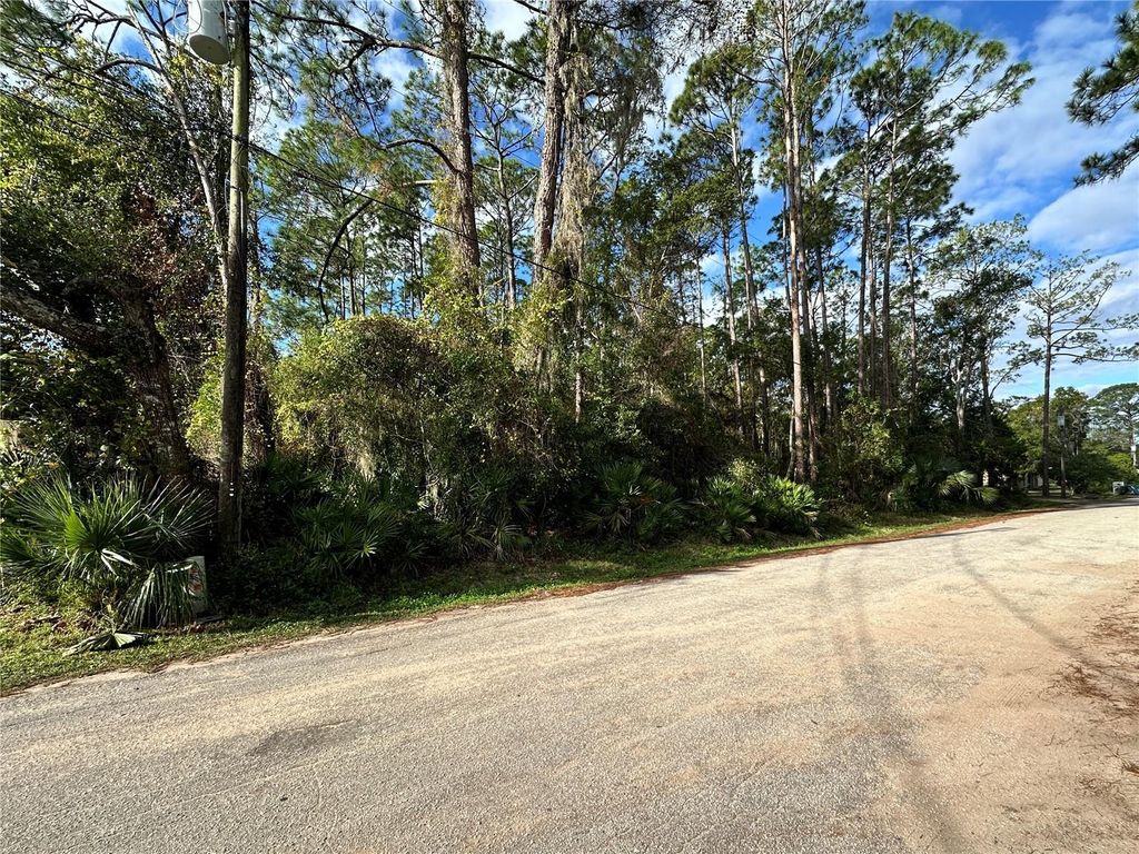 Photo of 00 N Peach Street, Bunnell, FL 32110 (MLS # FC315388)