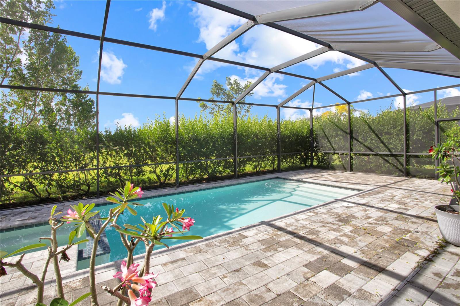 TIMBER CRK - Residential