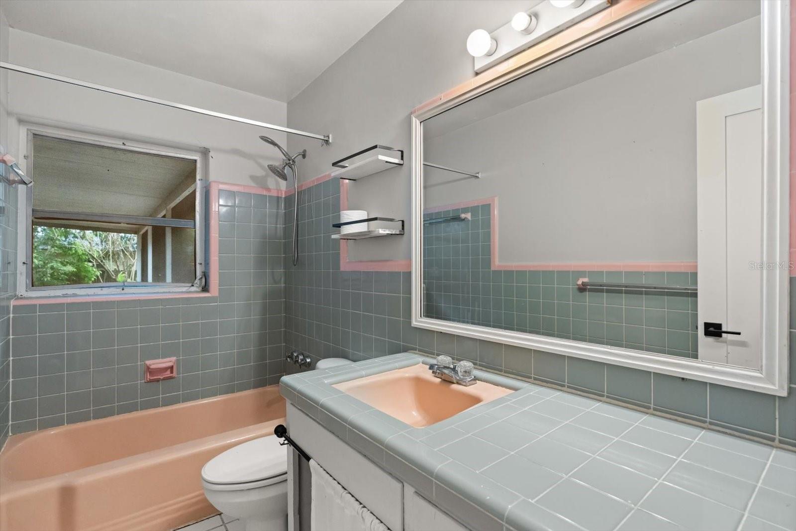 DRUID HILLS PARK - Residential