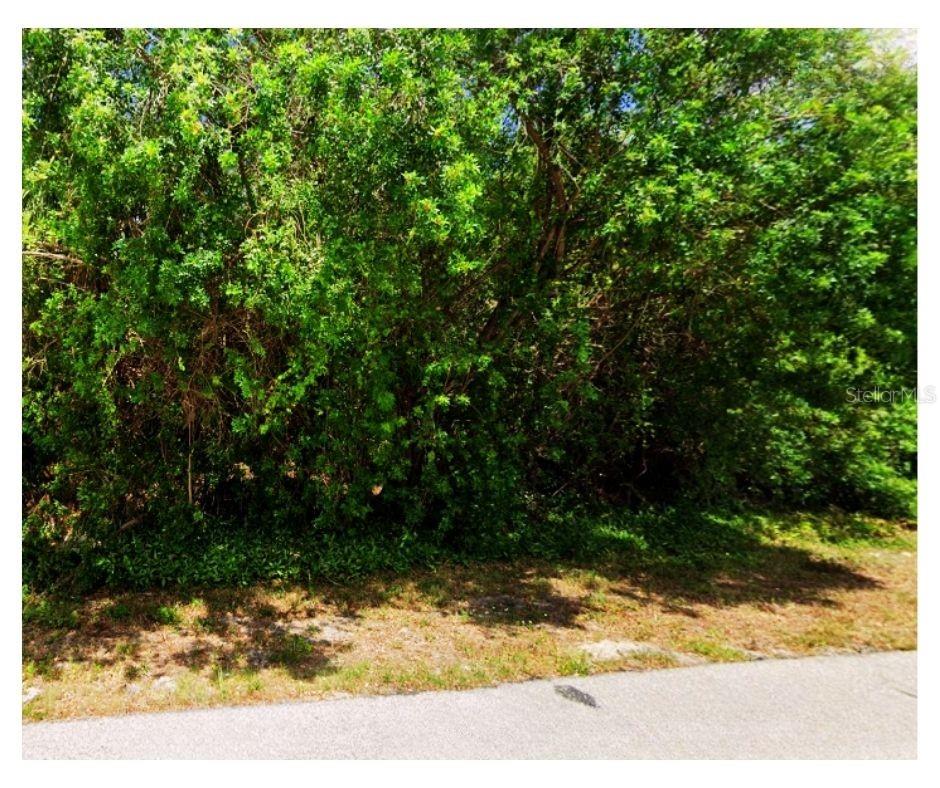 PORT CHARLOTTE SEC 008 - Land