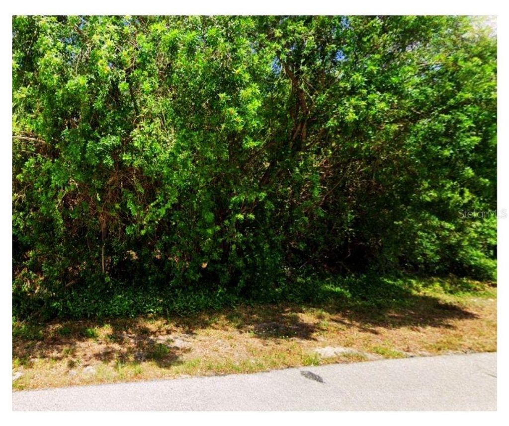 Photo of 1280 Eden Avenue, Port Charlotte, FL 33948 (MLS # C7520215)