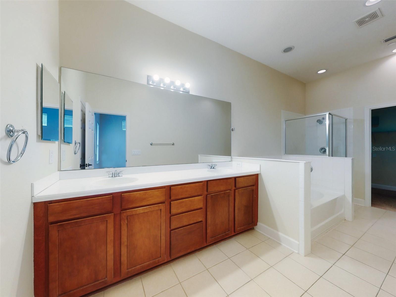 SUMERLIN AT BARTRAM PARK - Residential