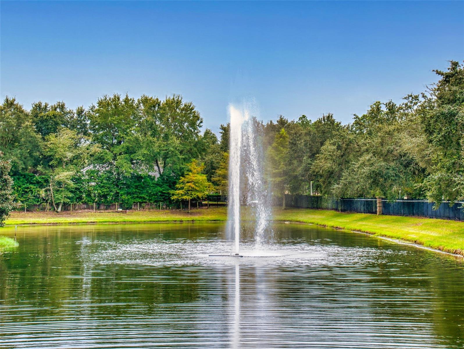 SUMERLIN AT BARTRAM PARK - Residential