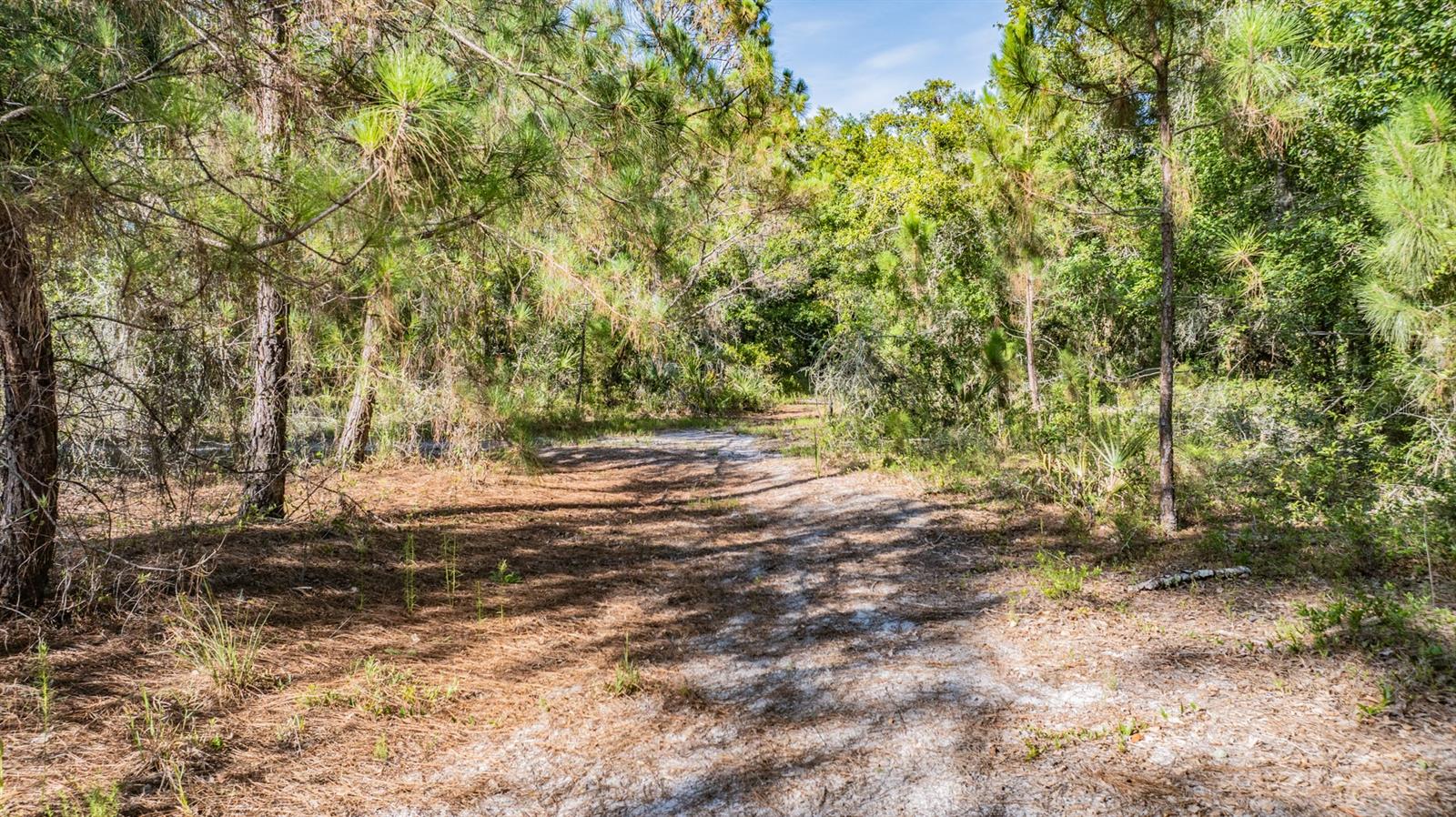 WITHERS ROAD