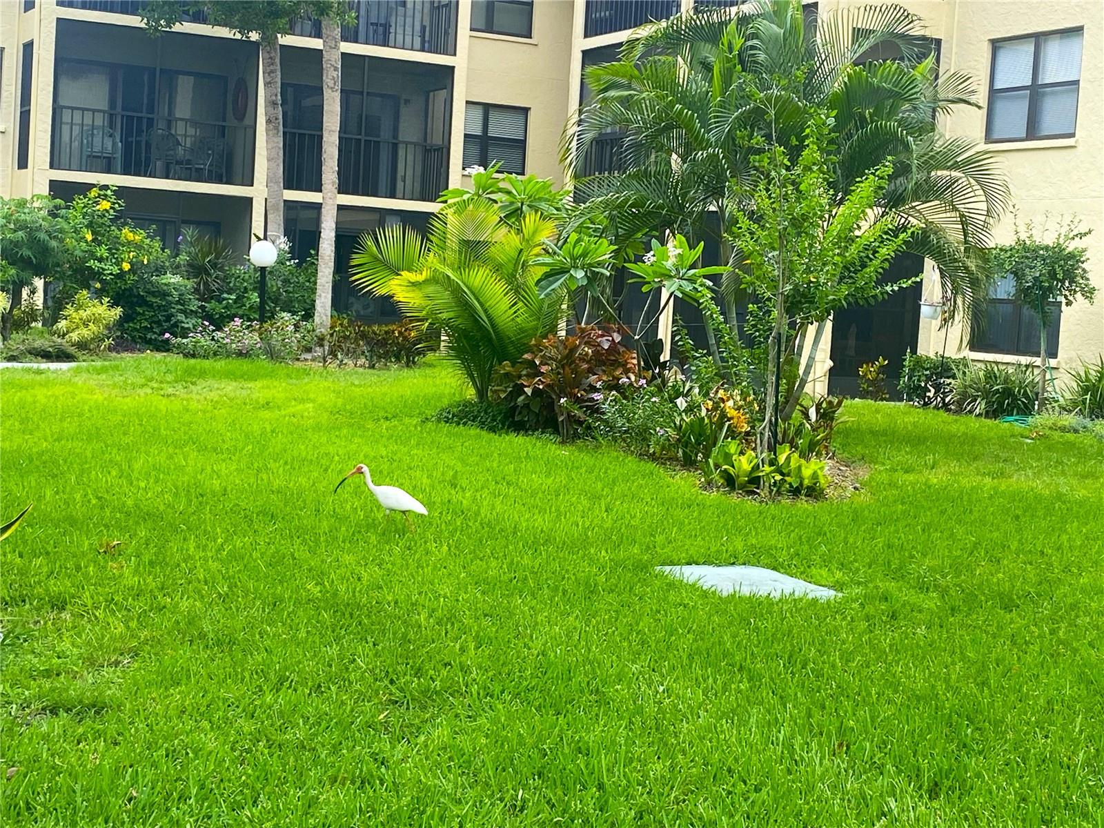 DESOTO SQUARE VILLAS - Residential