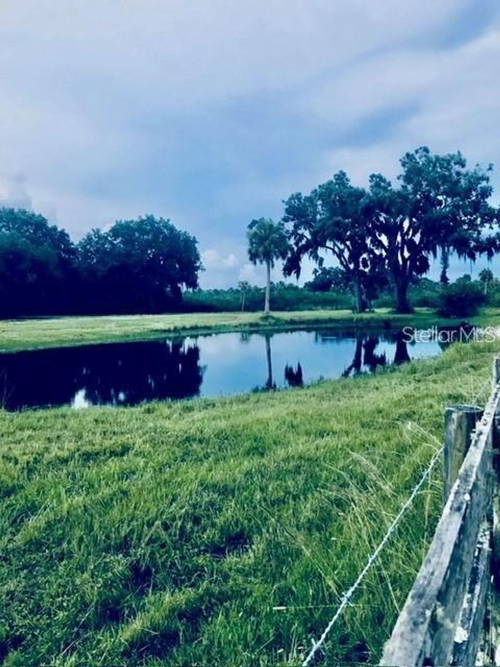 Photo of 7000 Us-19, Terra Ceia, FL 34250 (MLS # A4686617)