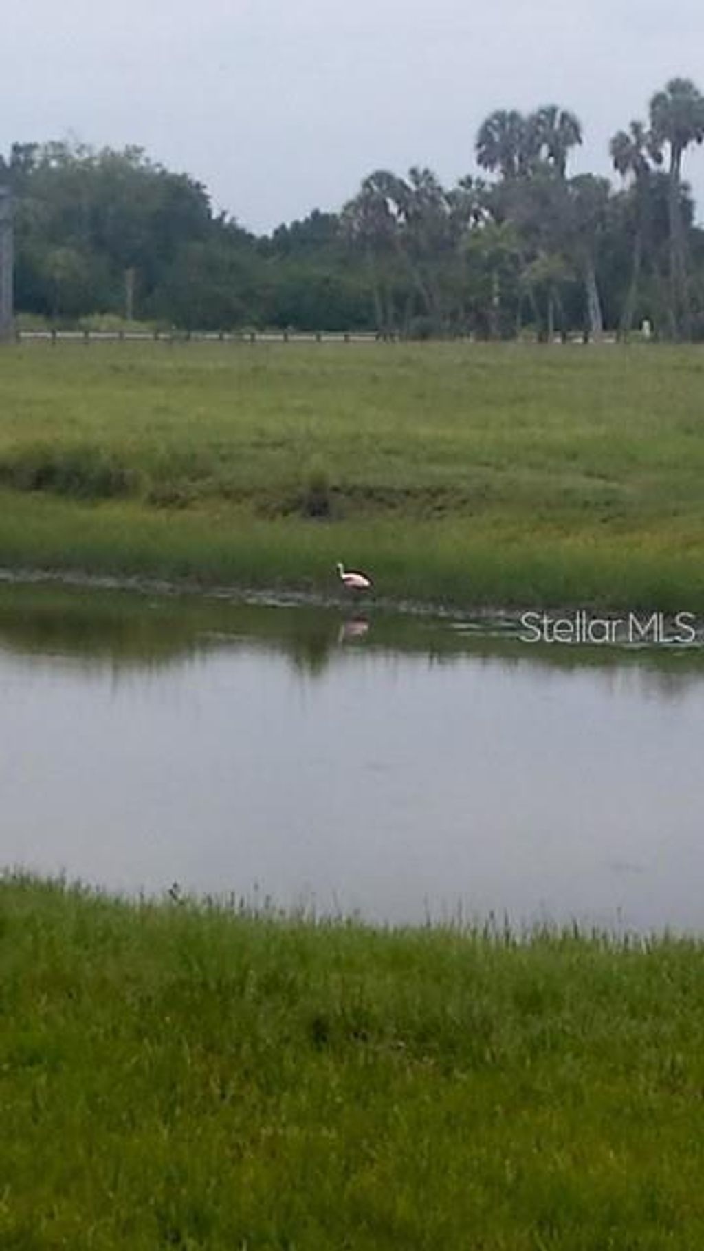 Photo of 7000 Us-19, Terra Ceia, FL 34250 (MLS # A4686617)