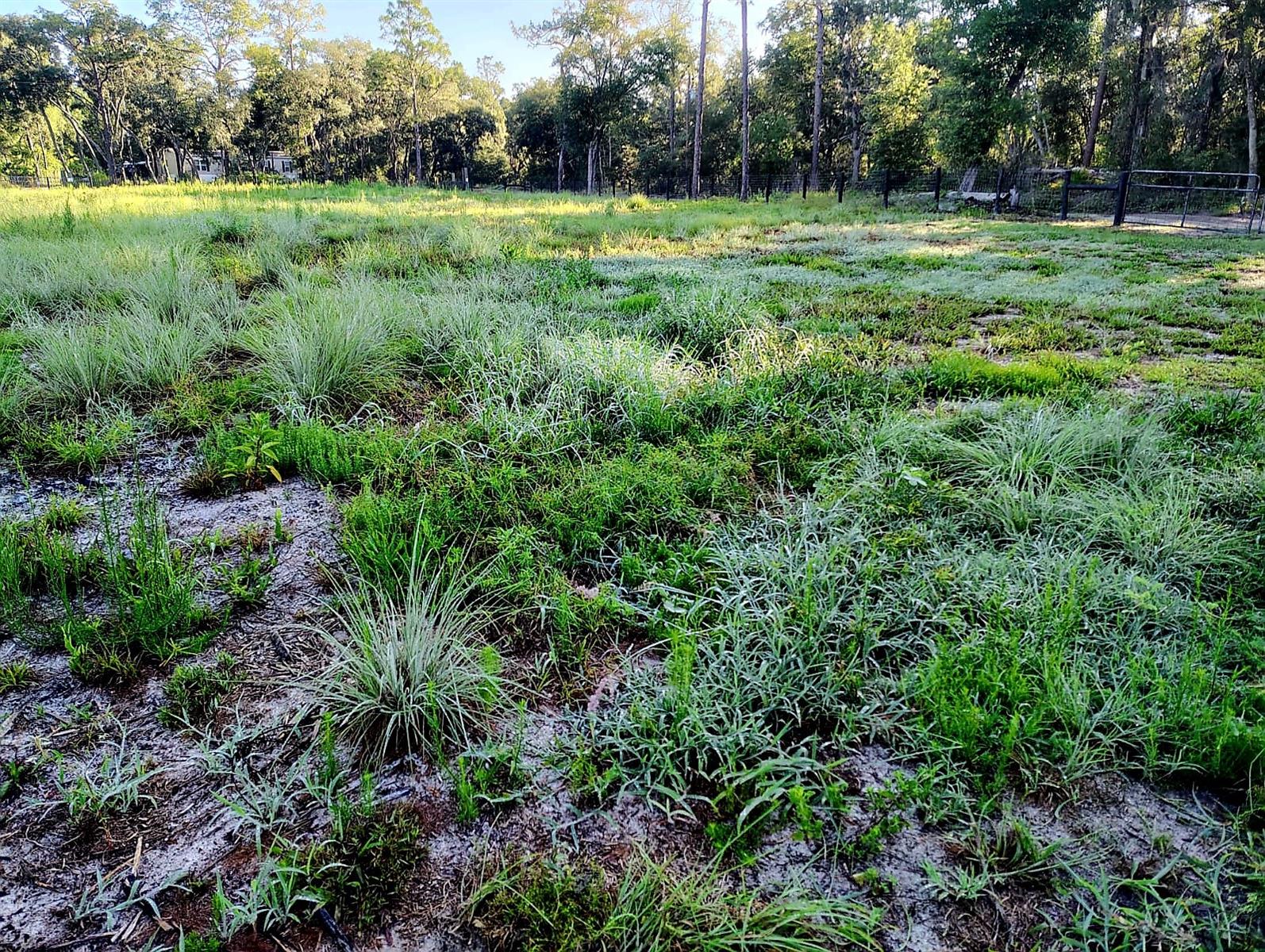 Cleared fenced 1.25 Acre corner lot that is ready for a new owner!! Bring your farm animals! Zoning allows for modular, mobile, and on site bult homes. Marion county is growing and this is a great opportunity to own your spot now!