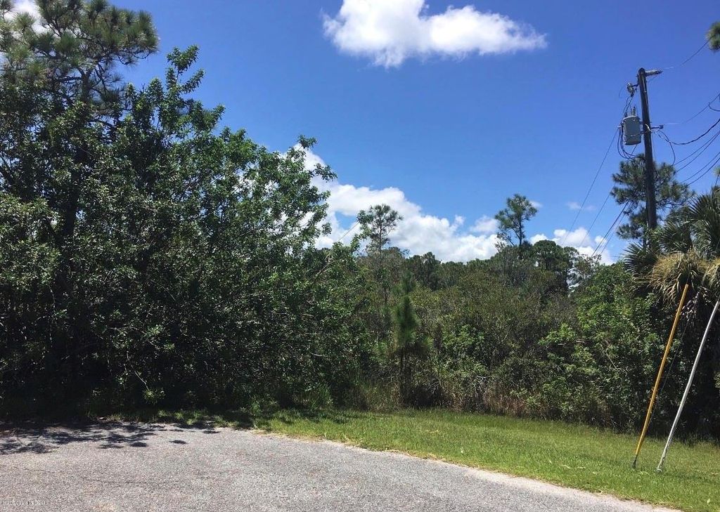Photo of 26 Luther Drive, Palm Coast, FL 32137 (MLS # FC318042)