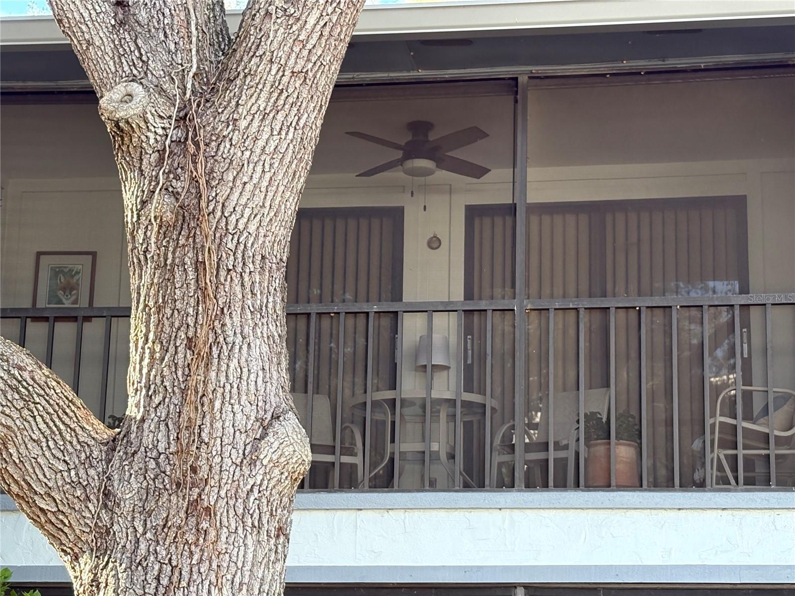 3241 FOX CHASE CIRCLE N 204