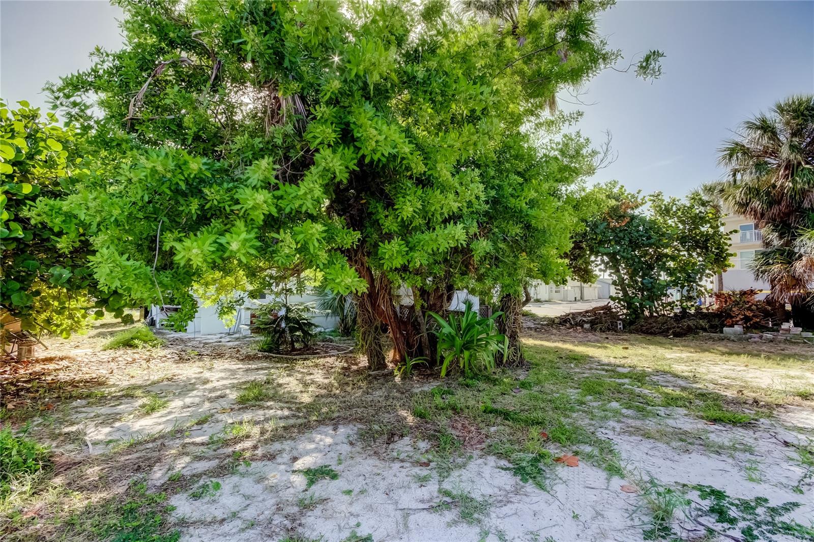 MOREY BEACH - Residential