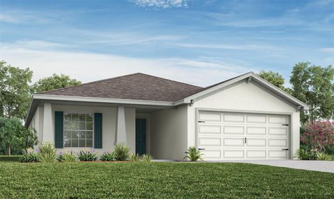6081 BALLAST DRIVE WIMAUMA FL 33598