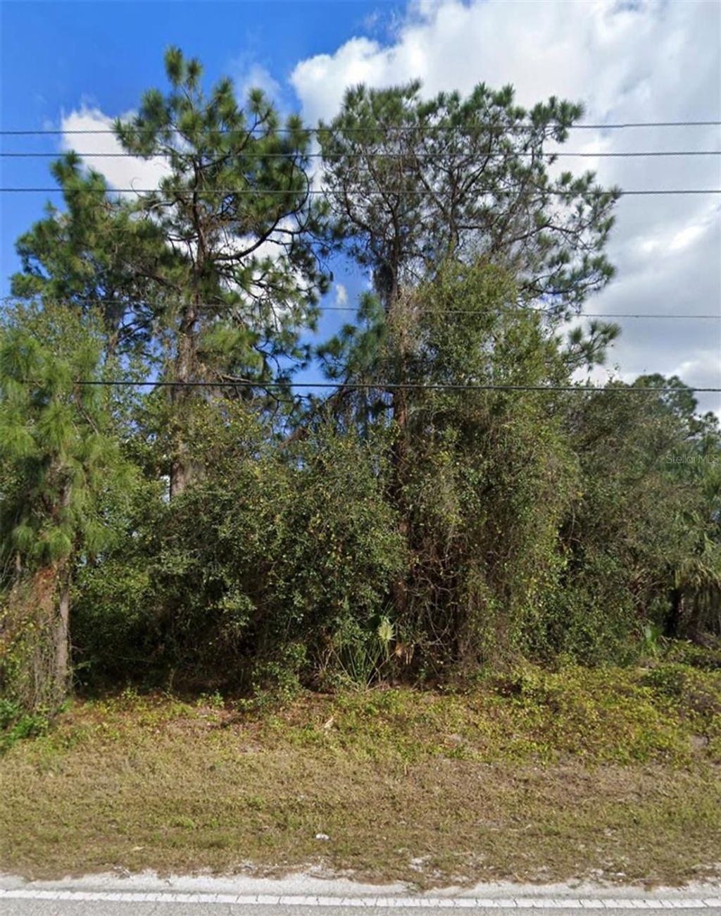 Photo of 20318 Lorette Avenue, Port Charlotte, FL 33954 (MLS # O6195799)