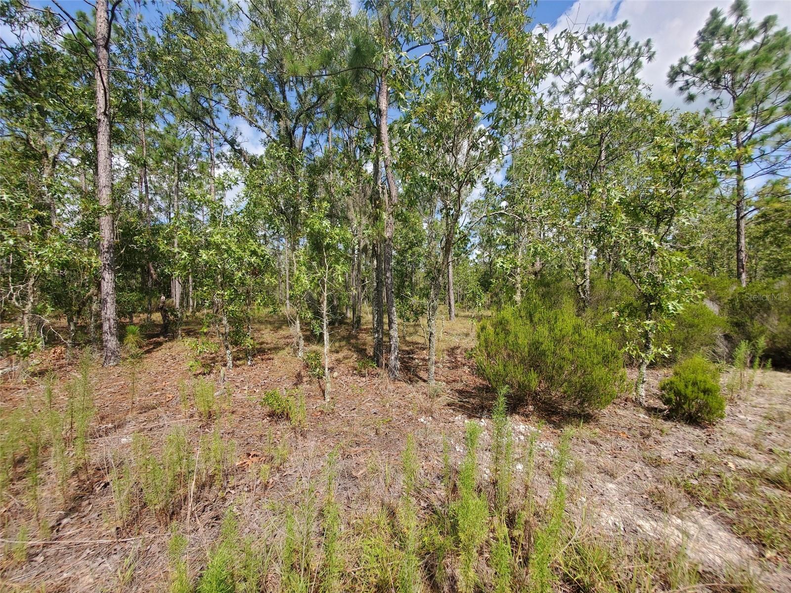 WILLISTON HIGHLANDS GOLF & C CLUB ESTATES - Land
