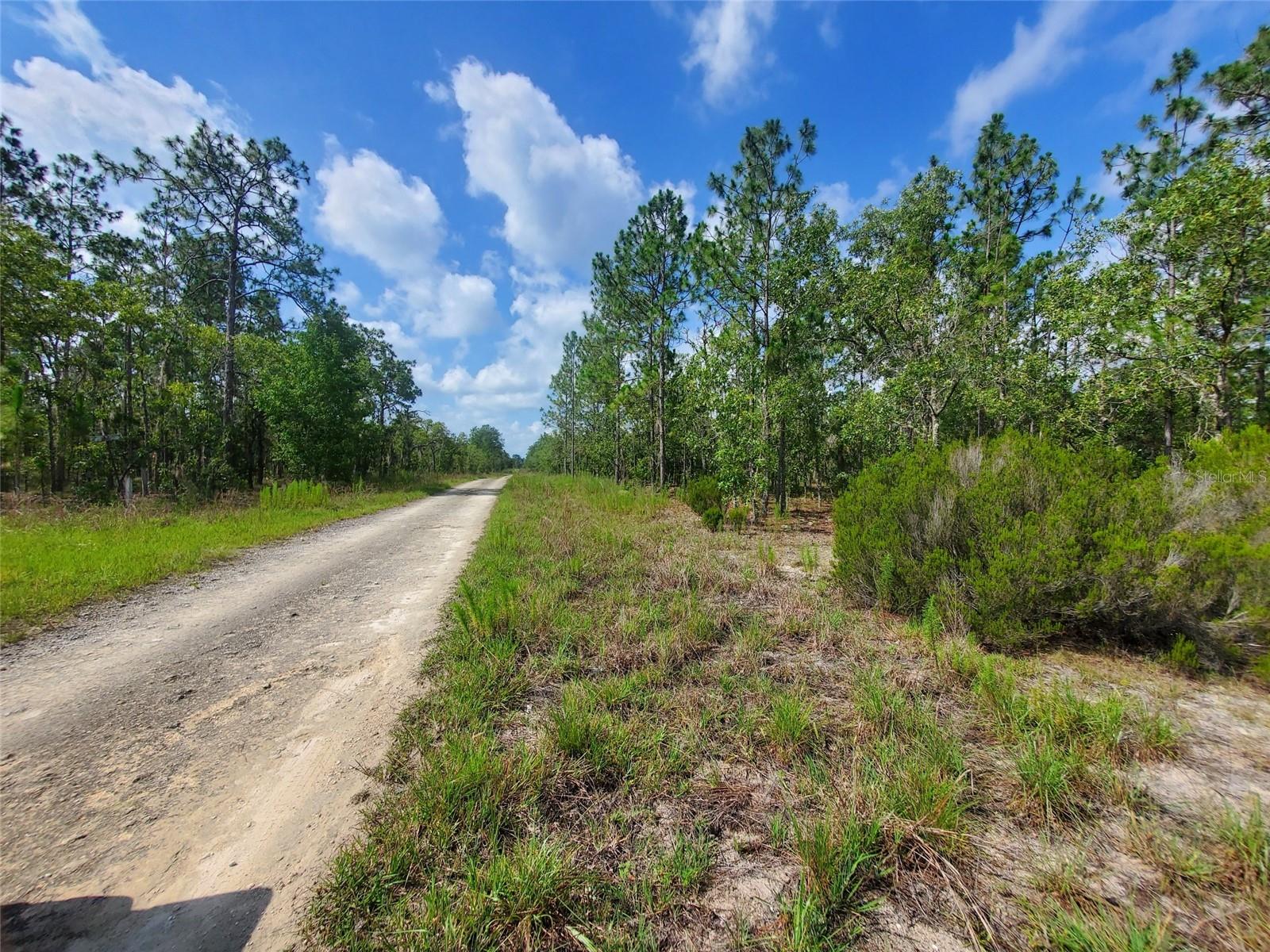 WILLISTON HIGHLANDS GOLF & C CLUB ESTATES - Land